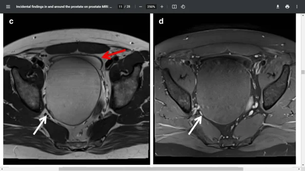 Screenshot (3862).webp