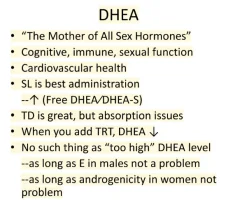 Screenshot 2025-07-16 165958.webp