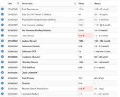 Latest Bloods - 1.webp