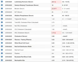 Latest Bloods - 2.webp