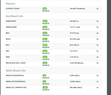 Screen Shot 2019-11-06 at 12.31.59 PM.webp